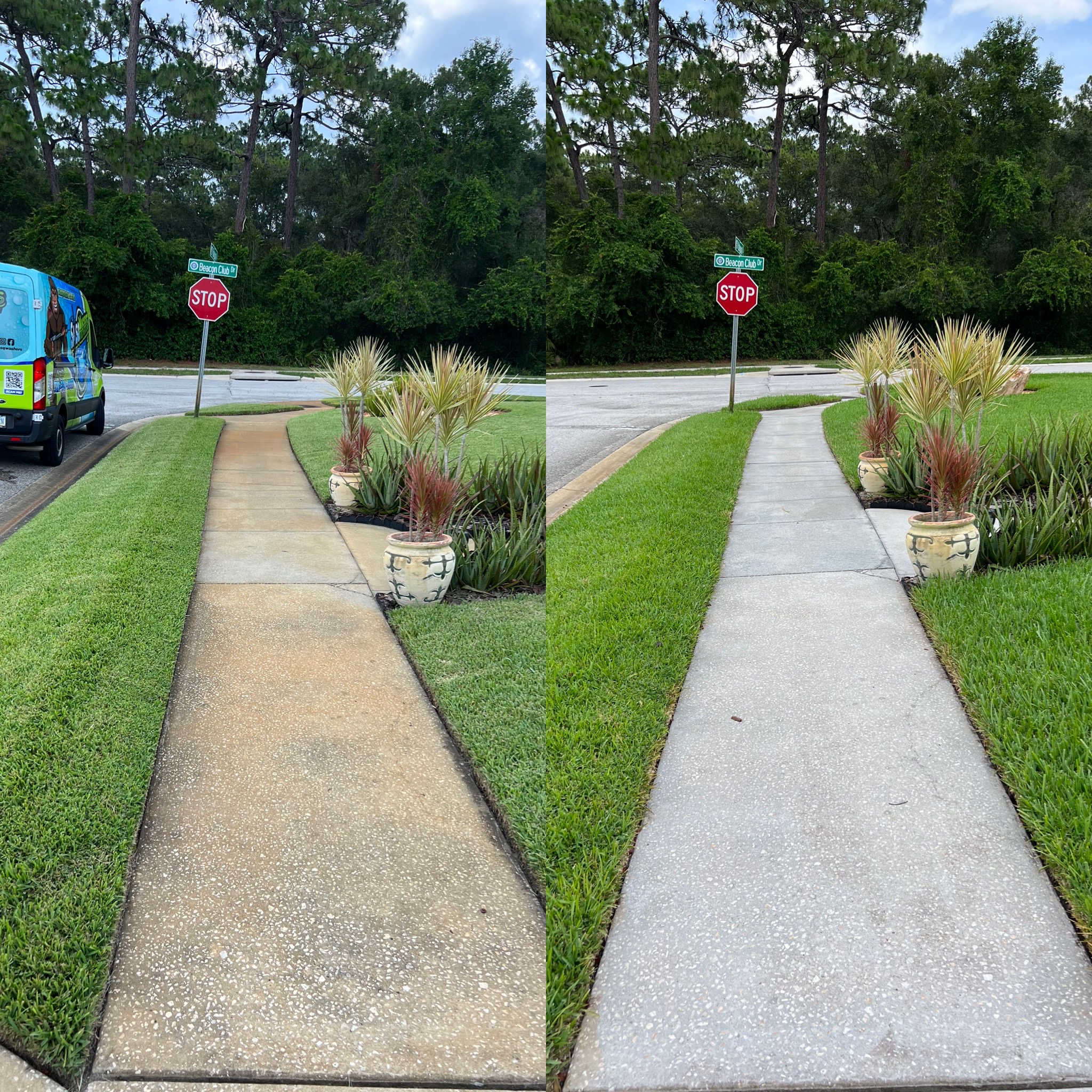 Pressure washing job